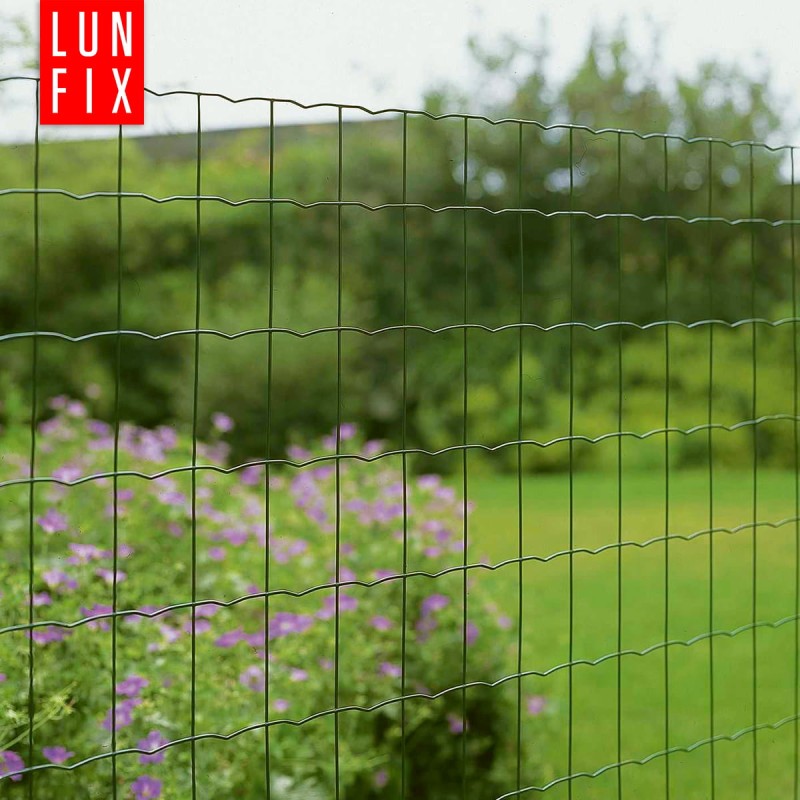 de55977658fb7d9a6f21b904281b7514