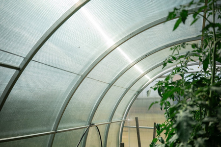 Szklarnia z poliwęglanu 3x10m profil 20x20mm grubość 3mm