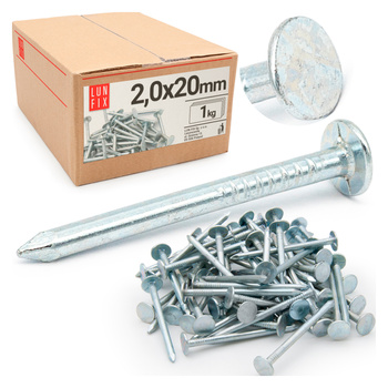Gwoździe papowe 2x20 mm ocynkowane papiaki 1kg