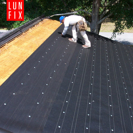 Gwoździe papowe 3x30mm ocynkowane z podkładką 1kg